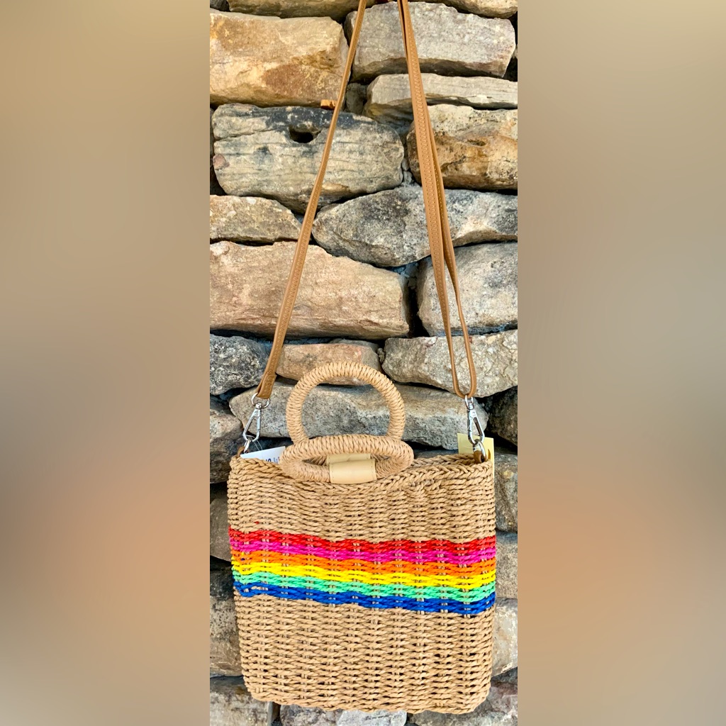 Basket Straw Woven Rainbow Purse Bag Nwt